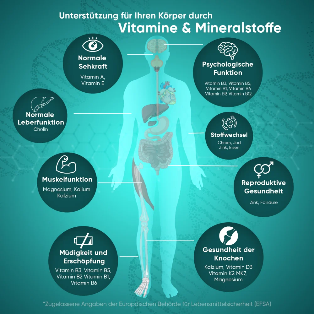Vorschaubild 5
