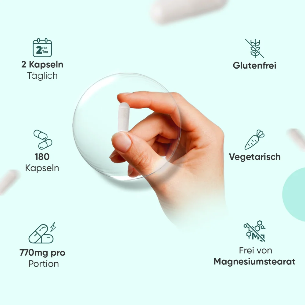 Vorschaubild 4