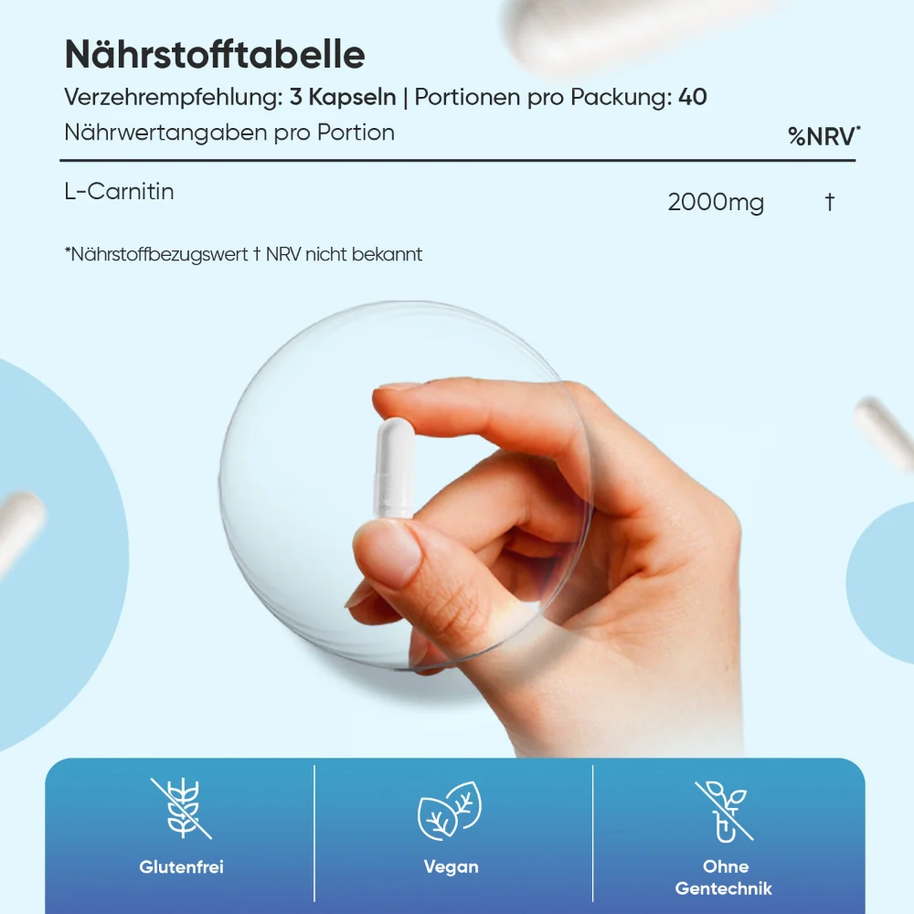 Vorschaubild 5