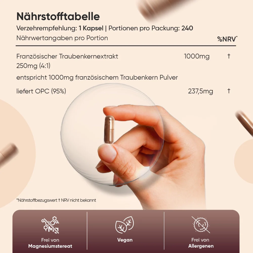 Vorschaubild 4