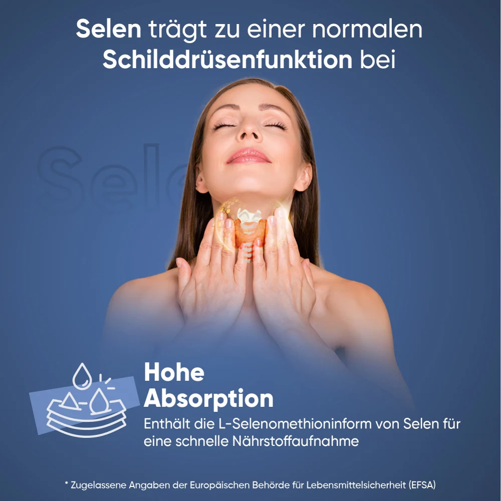 Vorschaubild 10